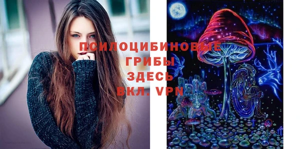 СК Армянск