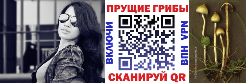Псилоцибиновые грибы мухоморы  Сасово 